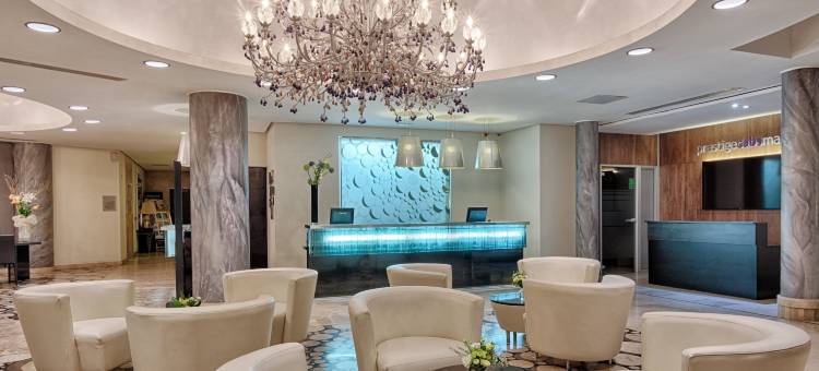 宫殿酒店(AX The Palace)图片