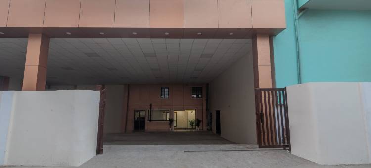 Treebo 金色卡西(Treebo Golden Kashi)图片