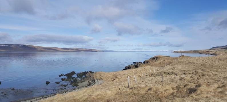 华姆斯唐吉旅舍(Hvammstangi Hostel)图片