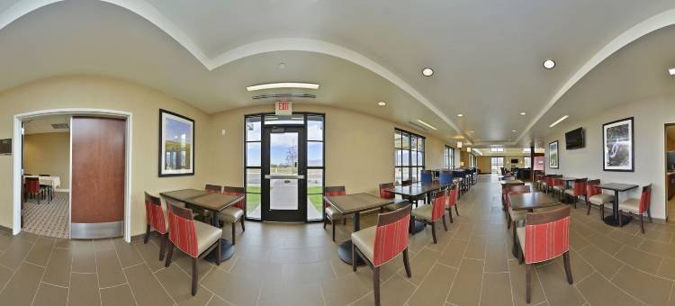 机场-大学舒适套房酒店(Comfort Suites Airport-University)图片