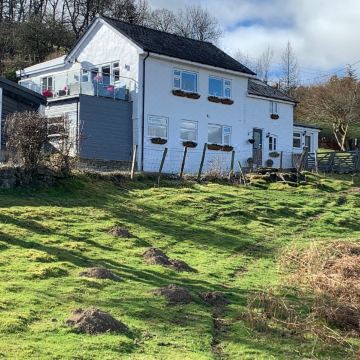 布鲁姆布什(BroomBush)图片