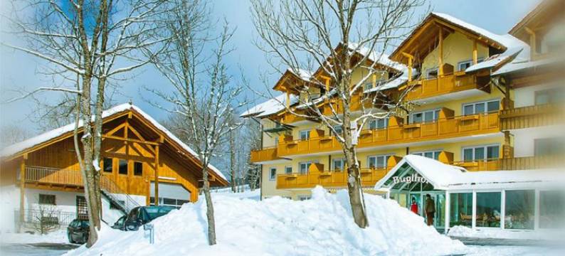 布格尔霍夫宾馆(Gasthof Buglhof)图片