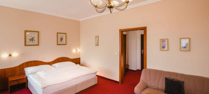 卢赞健康酒店(Wellness Hotel Lužan)图片