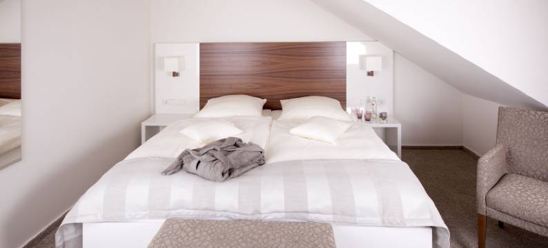 尼德穆尔兰德餐厅酒店(Restaurant Niedmühle Land & Genuss Hotel)图片