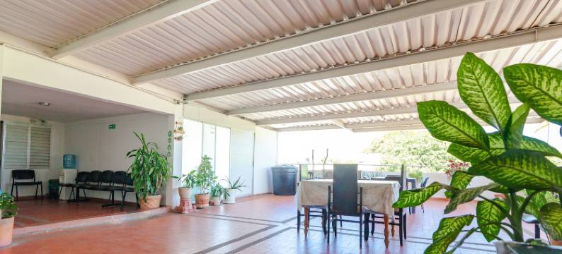 Ayenda兰花19(Ayenda Orquidea 19)图片