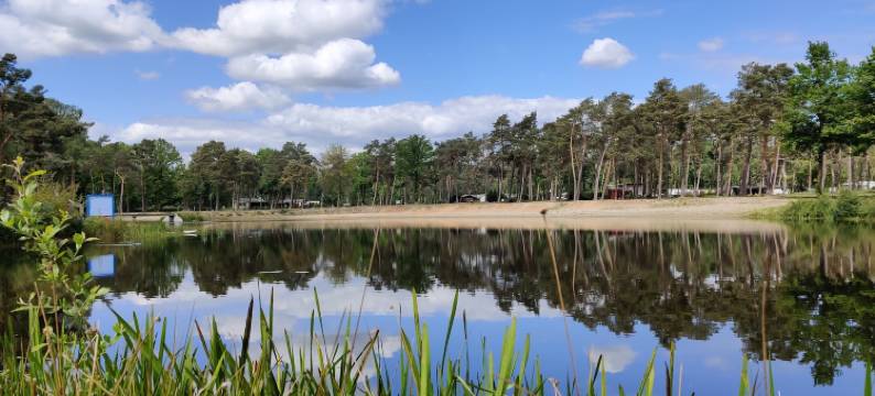 霍夫帕肯德贝格文娜(Hofparken de Bergvennen)图片