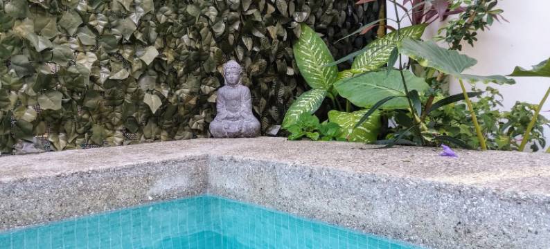 朱恩格拉民宿青年旅舍(Casajungla Hostel)图片