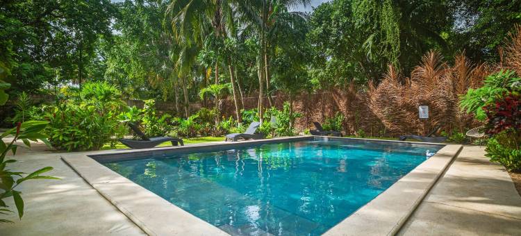 玛雅土地庇护所 Spa 酒店(Tierra Maya Hotel Spa & Sanctuary)图片