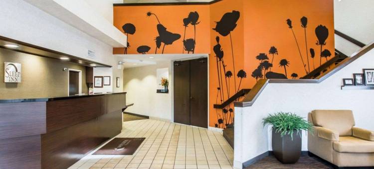 凤凰城北I-17速普酒店(Sleep Inn Phoenix North I-17)图片