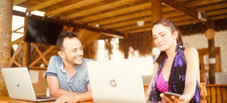 帕洛米诺日出(Palomino Sunrise)图片