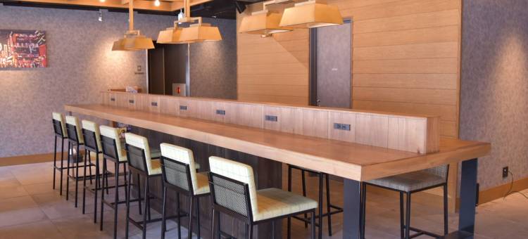 梅田霍利克酒店(Umedaholic Hotel)图片