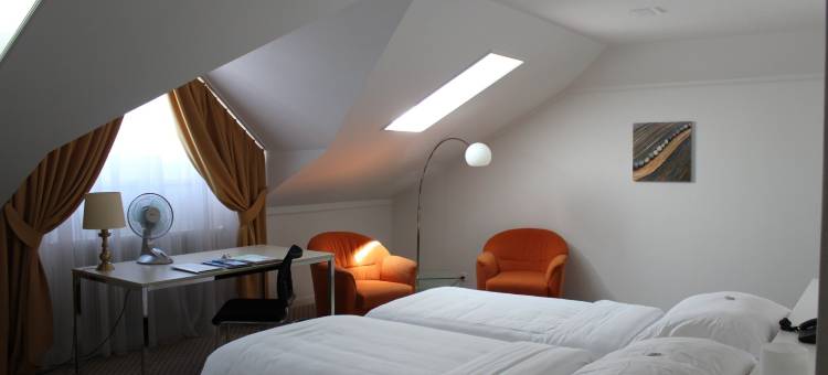 施瓦恩维尔酒店(Hotel Schwanen Wil)图片