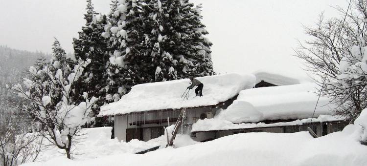 小左卫门民宿(Kozaemon)图片