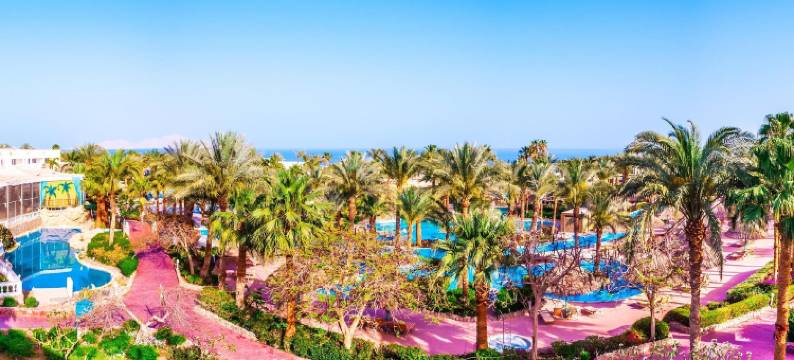 皮克阿尔巴特罗斯高尔夫海滩度假村(Pickalbatros Golf Beach Resort)图片