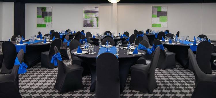 约翰内斯堡机场假日酒店(Holiday Inn Johannesburg Airport)图片