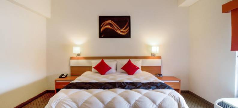 首都O赫雷迪罗酒店(Los Herederos Hotel Piedras Negras)图片