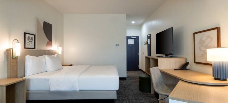 Spark by Hilton 哈蒙德(Spark by Hilton Hammond)图片