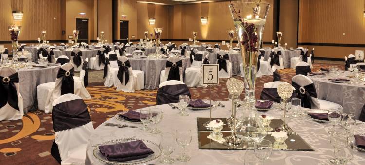 德梅因市中心希尔顿安泊酒店(Embassy Suites by Hilton des Moines Downtown)图片