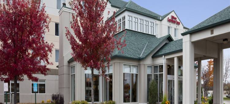 明尼阿波利斯伊根希尔顿花园酒店(Hilton Garden Inn Minneapolis Eagan)图片
