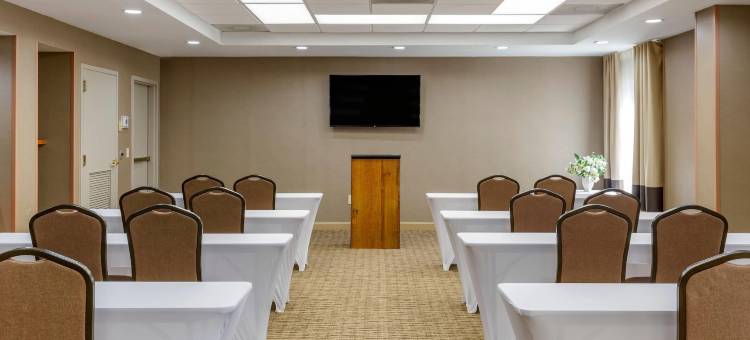 格林斯伯勒克纳斯维尔舒适酒店(Comfort Inn Greensboro - Kernersville)图片