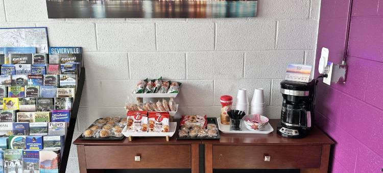 维斯维尔美洲最佳价值旅馆(Americas Best Value Inn Wytheville)图片