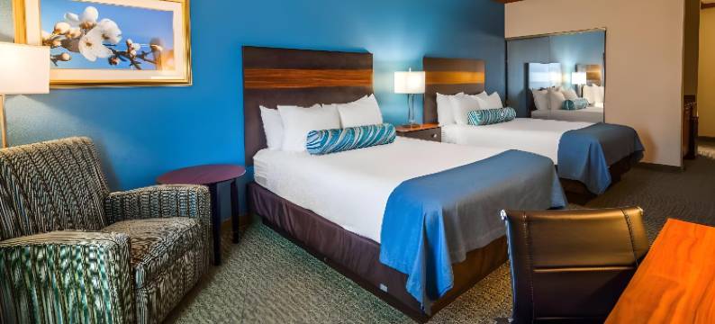 舒适酒店及套房(Comfort Inn & Suites)图片