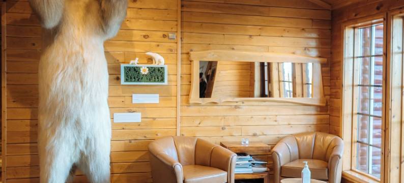 兰加酒店(Hotel Ranga)图片