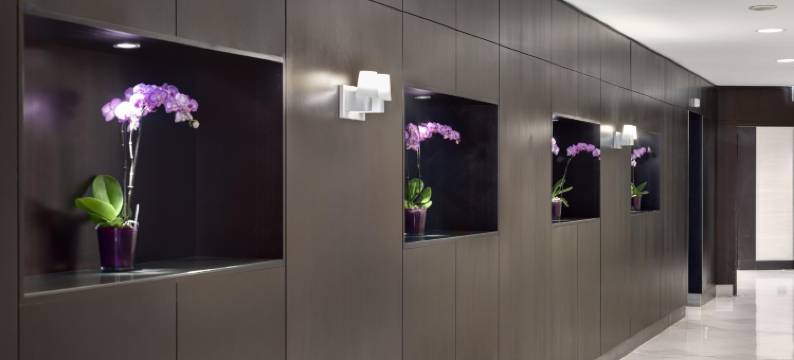 阿姆斯特丹莱兹广场 NH 酒店(NH Amsterdam Leidseplein)图片