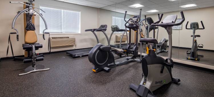 纽瓦克克里斯蒂安娜贝斯特韦斯特优质酒店(Best Western Plus Newark/Christiana Inn)图片