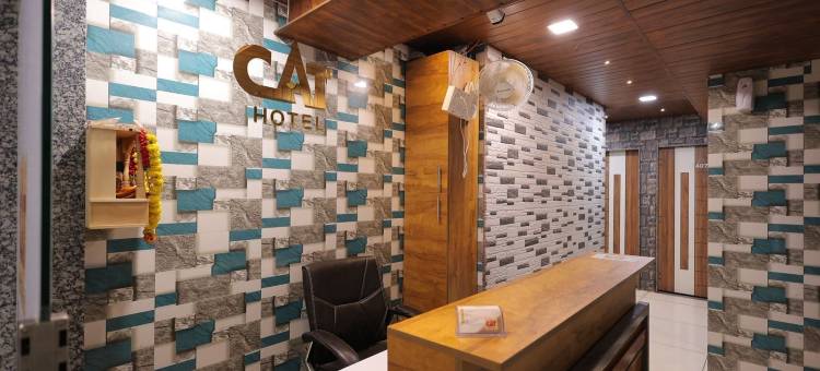 猫酒店(Hotel Cat)图片