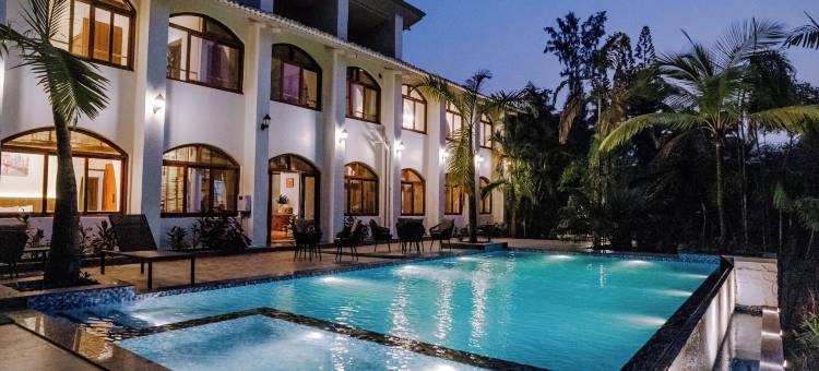 阿埃拉基棕榈(Aeraki palms)图片