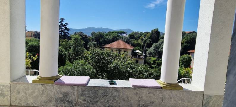 戴勒玫瑰别墅酒店(Hotel Delle Rose)图片