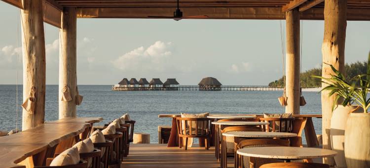 JAZ精英极光(JAZ Elite Aurora)图片