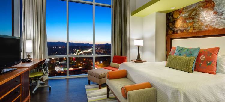 阿什维尔市中心英迪格酒店(Hotel Indigo ASHEVILLE DOWNTOWN by IHG)图片