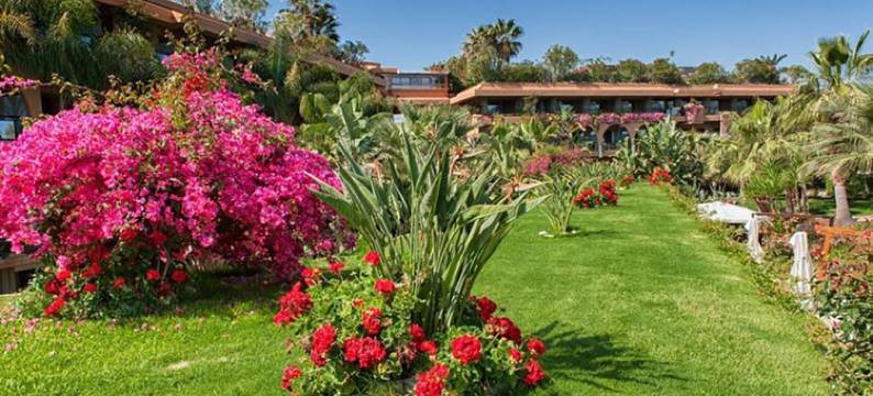 阿卡西亚棣莱奥尼帕克酒店(Acacia Resort Parco Dei Leoni)图片