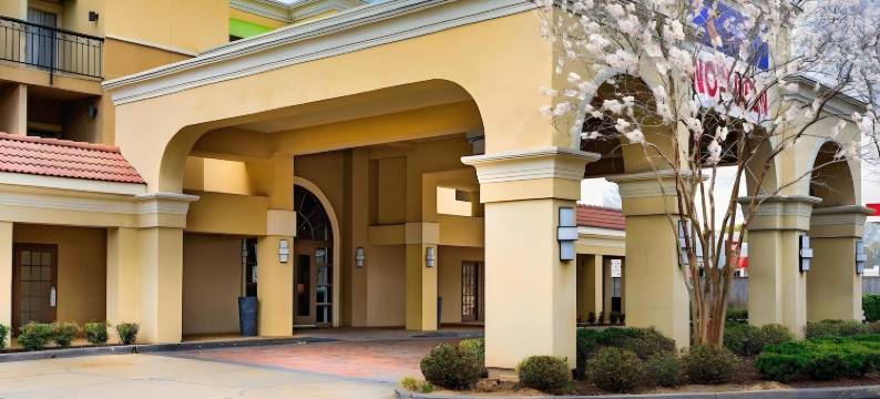 康福特套房巴吞鲁日南部I-10(Comfort Suites Baton Rouge South I-10)图片