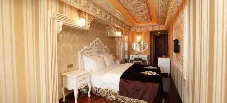 苏丹艾哈迈德金角豪华酒店(Deluxe Golden Horn Sultanahmet Hotel)图片