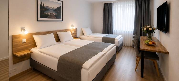 德莱科尼肯酒店(Hotel Drei Könige)图片