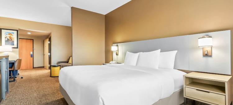 舒适套房酒店-埃尔帕索西(Comfort Suites El Paso West)图片