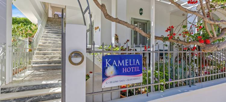卡梅利亚酒店(Kamelia Hotel)图片