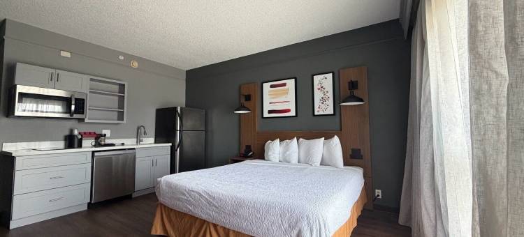 达拉斯Love Field机场浩枫温德姆酒店(Hawthorn by Wyndham Dallas Love Field Airport)图片