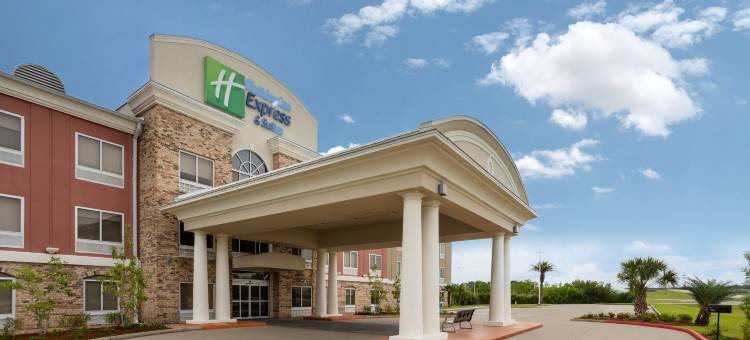 智选假日套房酒店新伊比利亚 - 艾利岛(Holiday Inn Express & Suites NEW IBERIA-AVERY ISLAND by IHG)图片