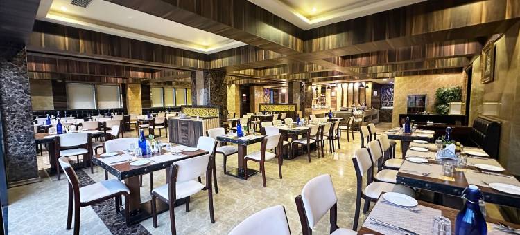 金色郁金香酒店库卡斯齐普尔(Golden Tulip Kukas Jaipur)图片