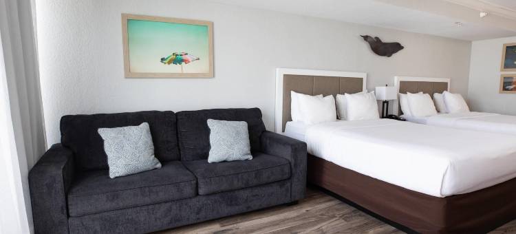 清水湾海豚沙滩Ascend精选酒店(Dolphin Sands Clearwater Beach, Ascend Hotel Collection)图片