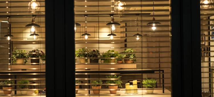 冈崎超级酒店(Super Hotel Okazaki)图片