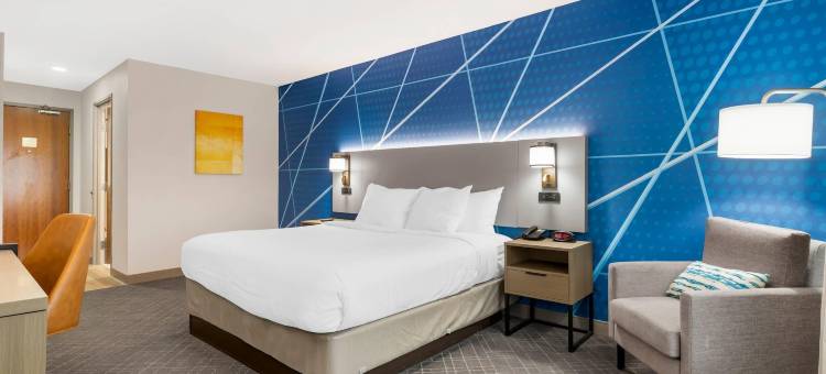 舒适酒店及套房(Comfort Inn & Suites)图片