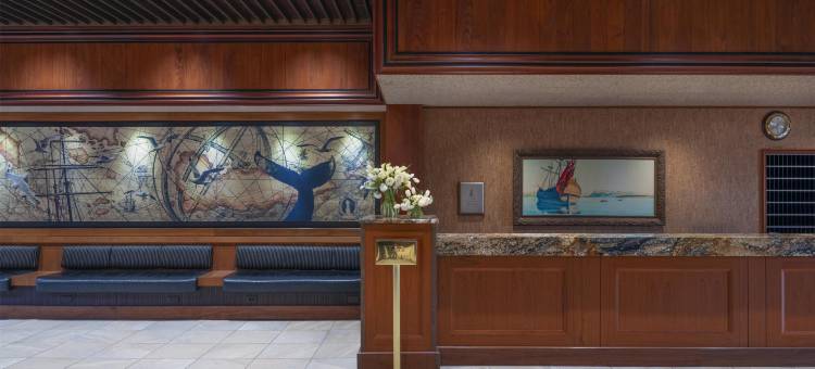 库克船长酒店(The Hotel Captain Cook)图片