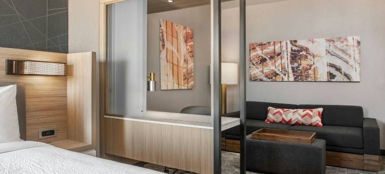 SpringHill Suites凤凰城西/埃文代尔酒店(SpringHill Suites Phoenix West/Avondale)图片