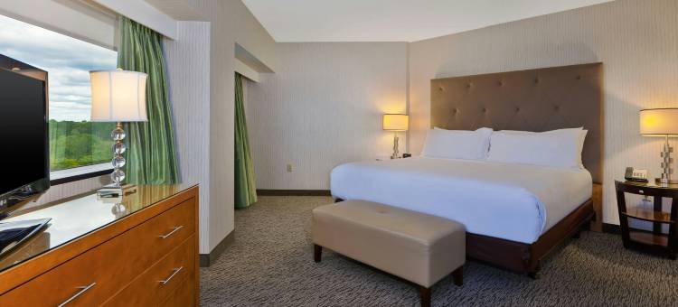 奥本希尔斯酒店(Hotel Auburn Hills)图片