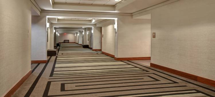小石城希尔顿安泊酒店(Embassy Suites by Hilton Little Rock)图片